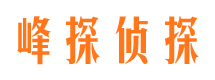 青田调查公司